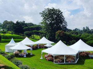 100-Pax-Garden-Wedding-with-Hexagonal-tents-300x225